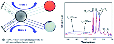 Graphical abstract: Influence of synthesis conditions on the morphologies of ReBO3 microstructures and white light emission of YBO3:Eu3+ phosphors prepared by an oleic acid-assisted hydrothermal method