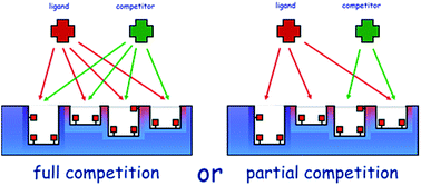 Graphical abstract: Full vs. partial competitive binding behaviour in molecularly imprinted polymers. The case for a chlorinated phenoxyacids-binding polymer