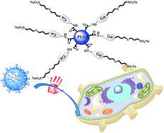 Graphical abstract: Dendronized PLGA nanoparticles with anionic carbosilane dendrons as antiviral agents against HIV infection