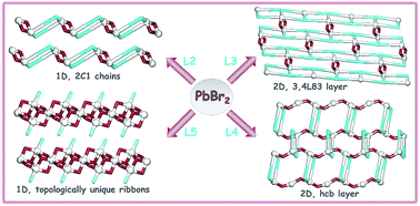 Graphical abstract: Inorganic–organic hybrid materials based on PbBr2 and pyridine–hydrazone blocks – structural and theoretical study