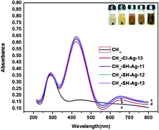 Graphical abstract: Chitosan-thiomer stabilized silver nano-composites for antimicrobial and antioxidant applications