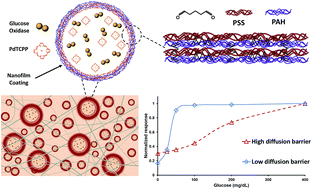 Graphical abstract: Cross-linked nanofilms for tunable permeability control in a composite microdomain system