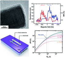 Graphical abstract: Room-temperature spin transport in InAs nanowire lateral spin valve