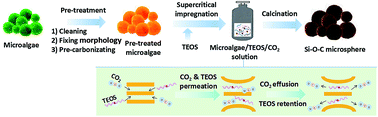 Graphical abstract: Supercritical fluid assisted biotemplating synthesis of Si–O–C microspheres from microalgae for advanced Li-ion batteries