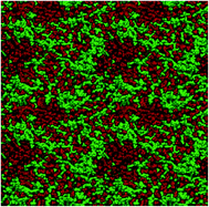 Graphical abstract: Composition effect on the aggregate/solution interface of a nematic lyotropic liquid crystal