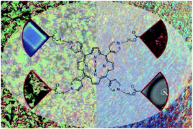 Graphical abstract: Supramolecular liquid crystalline dendrimers with a porphyrin core and functional carboxylic acid dendrons