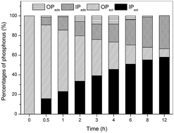 Graphical abstract: Fosfomycin removal and phosphorus recovery in a schorl/H2O2 system