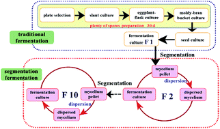 Graphical abstract: Efficient production of citric acid in segmented fermentation using Aspergillus niger based on recycling of a pellet-dispersion strategy