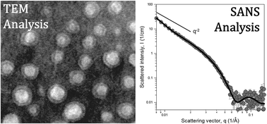 Graphical abstract: Ultrasmall polymersomes of poly-α,β-(N-2-hydroxyethyl l-aspartamide)-graft-poly(l-lactic acid) copolymers as a potential drug carrier