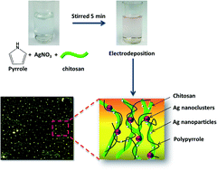 Graphical abstract: Boosting the supercapacitive properties of polypyrrole with chitosan and hybrid silver nanoparticles/nanoclusters