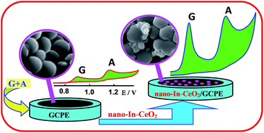 Graphical abstract: Electrochemical sensor for individual and simultaneous determination of guanine and adenine in biological fluids and in DNA based on a nano-In–ceria modified glassy carbon paste electrode