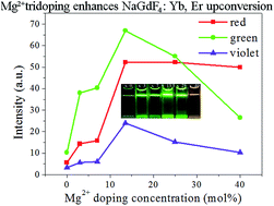 Graphical abstract: Enhanced upconversion luminescence and modulated paramagnetic performance in NaGdF4:Yb, Er by Mg2+ tridoping