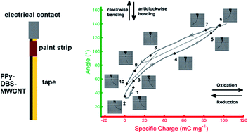 Graphical abstract: Construction and coulodynamic characterization of PPy-DBS-MWCNT/tape bilayer artificial muscles