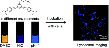 Graphical abstract: An emission-tunable fluorescent organic molecule for specific cellular imaging