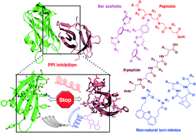 Graphical abstract: Protein/peptide secondary structural mimics: design, characterization, and modulation of protein–protein interactions