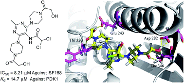 Graphical abstract: Development of dichloroacetamide pyrimidines as pyruvate dehydrogenase kinase inhibitors to reduce cancer cell growth: synthesis and biological evaluation