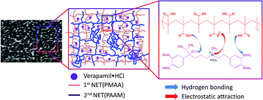 Graphical abstract: Interpenetrating polymer networks of poly(methacrylic acid) and polyacrylamide: synthesis, characterization and potential application for sustained drug delivery