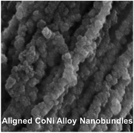 Graphical abstract: Gamma irradiation induced synthesis of electromagnetic functionalized aligned CoxNi1−x alloy nanobundles