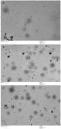 Graphical abstract: In vitro–in vivo–in silico simulation studies of anti-tubercular drugs doped with a self nanoemulsifying drug delivery system