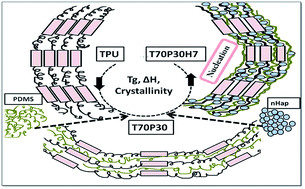 Graphical abstract: Nucleated nanocomposites of TPU–PDMS blends based on spherical nanohydroxyapatite