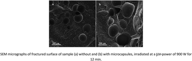 Graphical abstract: A novel technique in the foaming process of EPDM/PP via microwave radiation: the effect of blend compatibilization and additive encapsulation