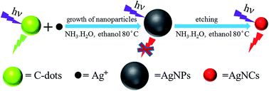 Graphical abstract: Carbon dots reduced and stabilized silver nanoclusters: synthesis and formation mechanisms