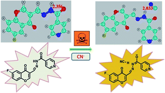 Graphical abstract: Selective and sensitive colorimetric sensor for CN− in the absence and presence of metal ions (Cu2+/Ni2+): mimicking logic gate behaviour