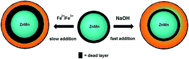 Graphical abstract: Enhanced magnetic properties and MRI performance of bi-magnetic core–shell nanoparticles