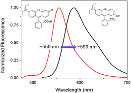 Graphical abstract: Design and synthesis of a rhodol isomer and its derivatives with high selectivity and sensitivity for sensing Hg2+ and F− in aqueous media