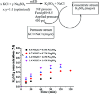 Graphical abstract: Sustainable process for the preparation of potassium sulfate by electrodialysis and its concentration and purification by a nanofiltration process