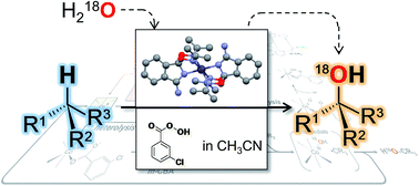 Graphical abstract: Stereoselective oxidation of alkanes with m-CPBA as an oxidant and cobalt complex with isoindole-based ligands as catalysts