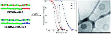 Graphical abstract: Multi-responsive (diethylene glycol)methyl ether methacrylate (DEGMA)-based copolymer systems