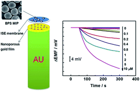 Graphical abstract: An all-solid-state imprinted polymer-based potentiometric sensor for determination of bisphenol S