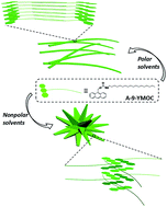 Graphical abstract: Solvent-polarity-tuned nanostructures assembled from modified octadecylcarbamate with an anthracen moiety