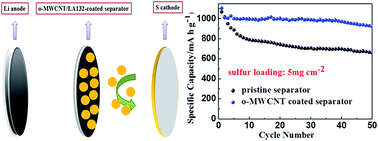 Graphical abstract: Oxidized multiwall carbon nanotube modified separator for high performance lithium–sulfur batteries with high sulfur loading