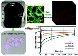 Graphical abstract: Highly swellable and biocompatible graphene/heparin-analogue hydrogels for implantable drug and protein delivery