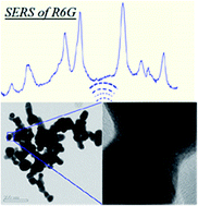 Graphical abstract: Room-temperature mechanochemical synthesis of silver nanoparticle homojunction assemblies for the surface-enhanced Raman scattering substrate