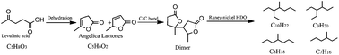 Graphical abstract: Obtaining a high value branched bio-alkane from biomass-derived levulinic acid using RANEY® as hydrodeoxygenation catalyst