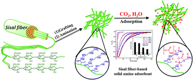 Graphical abstract: Sisal fiber-based solid amine adsorbent and its kinetic adsorption behaviors for CO2