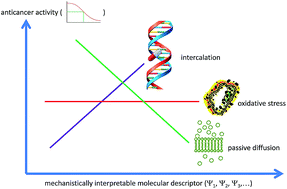 Graphical abstract: Quantum-chemically-calculated mechanistically interpretable molecular descriptors for drug-action mechanism study – a case study of anthracycline anticancer antibiotics