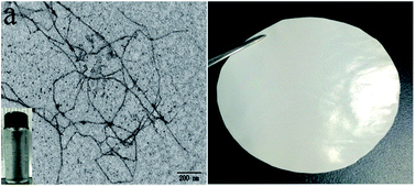 Graphical abstract: Short-chain amino acids functionalized cellulose nanofibers composite ultrafiltration membrane with enhanced properties