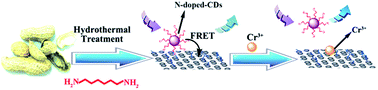 Graphical abstract: Fluorescence “turn on” detection of Cr3+ using N-doped-CDs and graphitic nanosheet hybrids