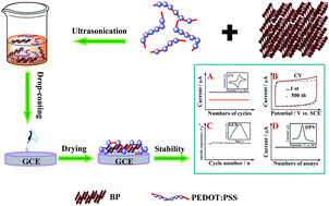 Graphical abstract: Preparation of black phosphorus-PEDOT:PSS hybrid semiconductor composites with good film-forming properties and environmental stability in water containing oxygen