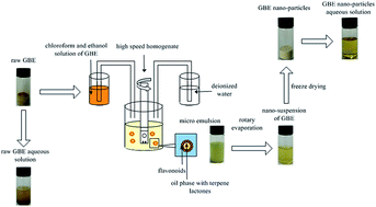 Graphical abstract: Enhanced dissolution rate and oral bioavailability of ginkgo biloba extract by preparing nanoparticles via emulsion solvent evaporation combined with freeze drying (ESE-FR)