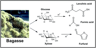 Graphical abstract: The effect of pretreatment on methanesulfonic acid-catalyzed hydrolysis of bagasse to levulinic acid, formic acid, and furfural