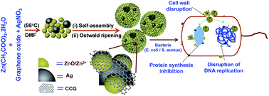 Graphical abstract: Synthesis, characterization and antibacterial activity of Ag incorporated ZnO–graphene nanocomposites