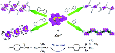 Graphical abstract: Syntheses, structures and catalytic properties of organic–inorganic hybrid materials constructed from Evans–Showell-type polyoxometalates and zinc–organic coordination units