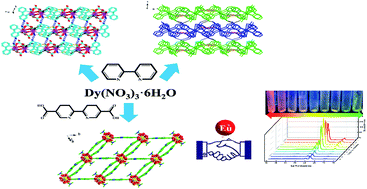 Graphical abstract: Lanthanide MOFs constructed based on a difunctional ligand with bimodal emission and Eu3+ doped Dy3+ materials: white emission and color tuning