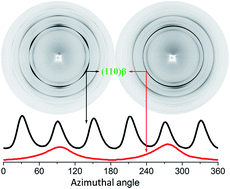 Graphical abstract: Suppression of the hierarchical structure of water-assisted injection moulded iPP in the presence of a β-nucleating agent and lamellar branching of a β-crystal