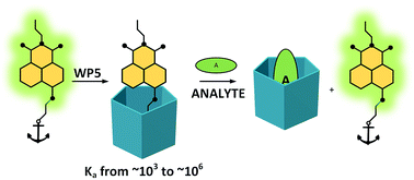 Graphical abstract: Amino acid recognition by fine tuning the association constants: tailored naphthalimides in pillar[5]arene-based indicator displacement assays